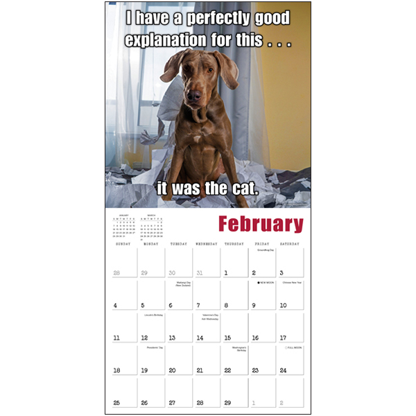 Mutt Memes 2024 Wall Calendar RSVP