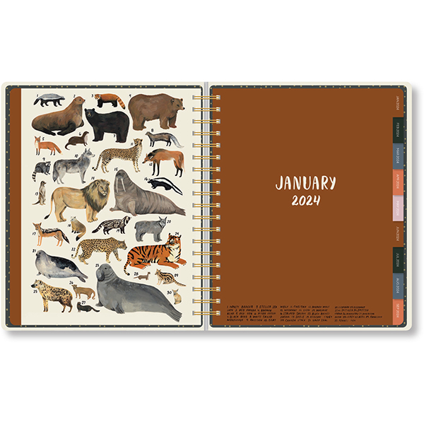 Seasonal 2024 Planner Collection By Kellofaplan- 9/15 Release 