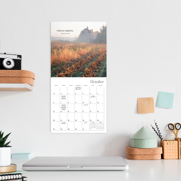 Simplicity 2024 Mini Calendar - RSVP