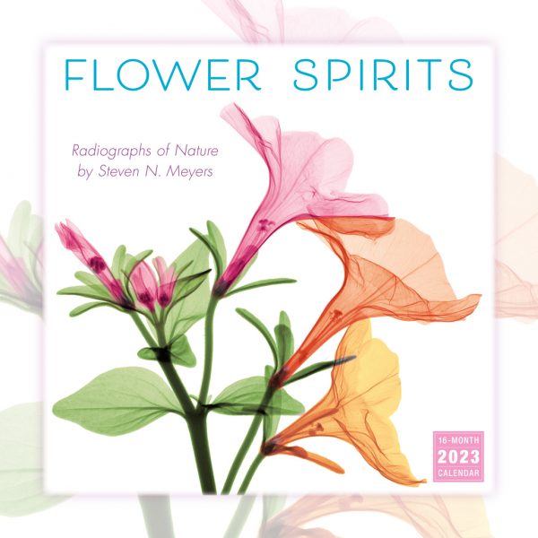 Flower Spirits 2023 Wall Calendar - RSVP