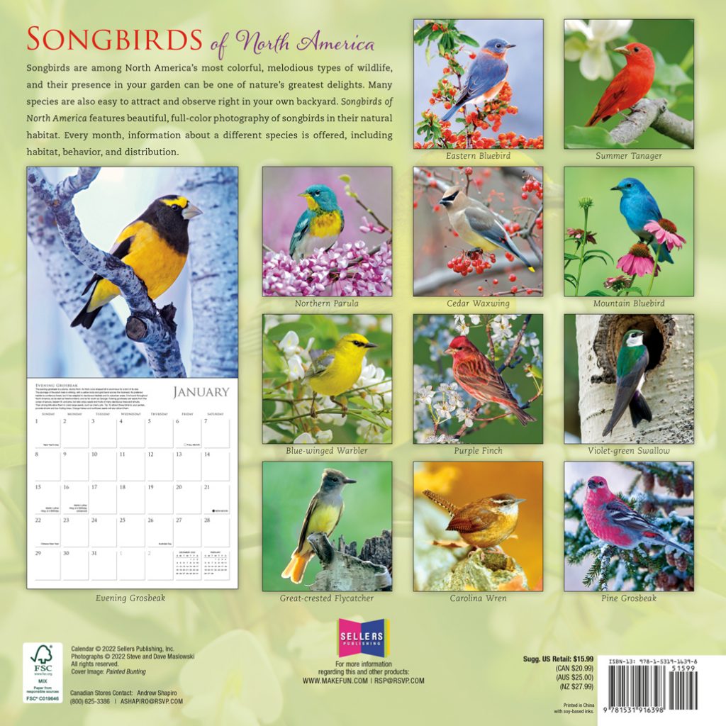 Songbirds of North America 2024 Wall Calendar RSVP