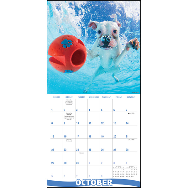 Underwater Dogs 2023 Wall Calendar RSVP